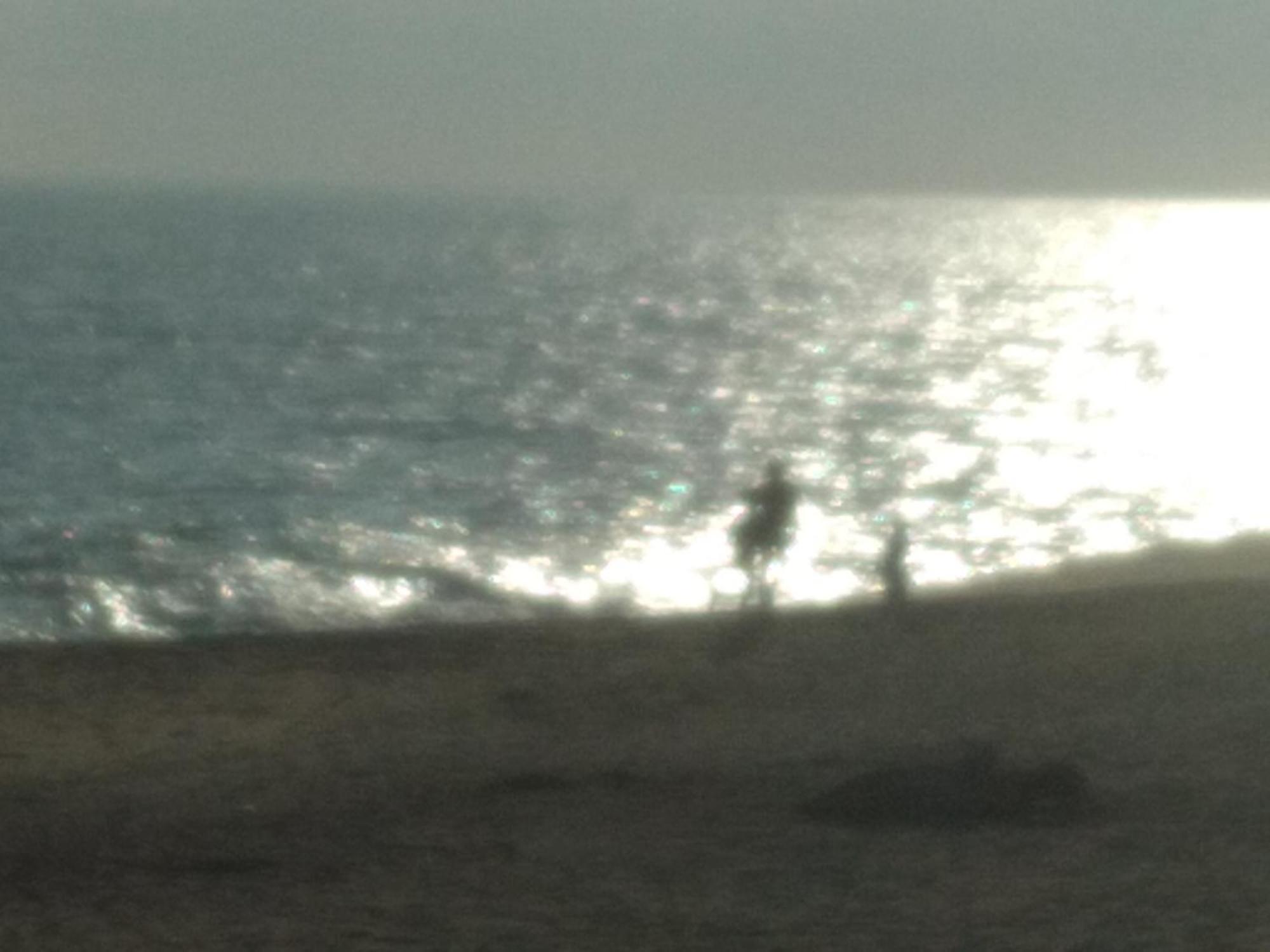 Happy Beach Safari Retreat Hambantota Δωμάτιο φωτογραφία